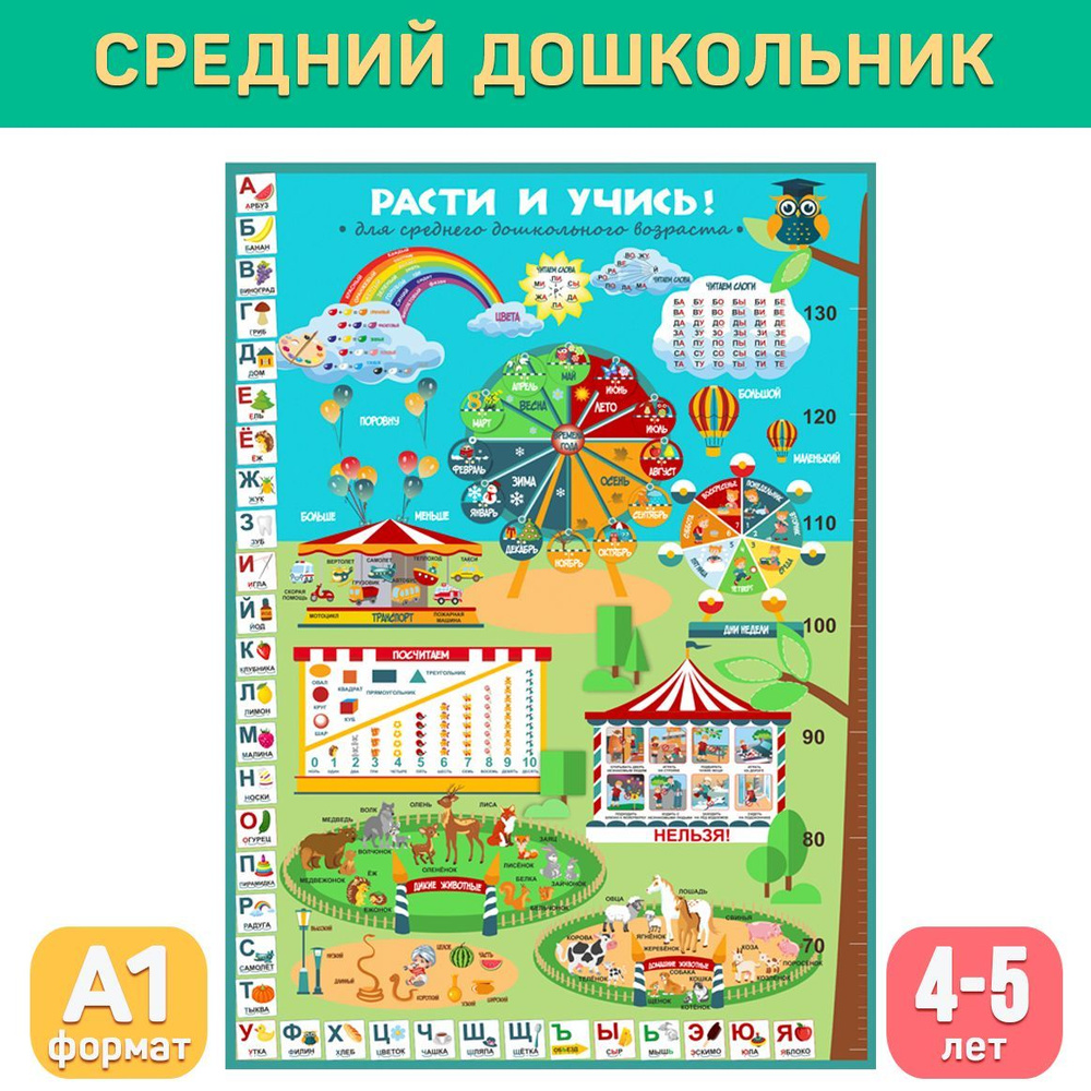 Развивающий плакат средний дошкольный возраст (4-5 лет), формат А1 с ...