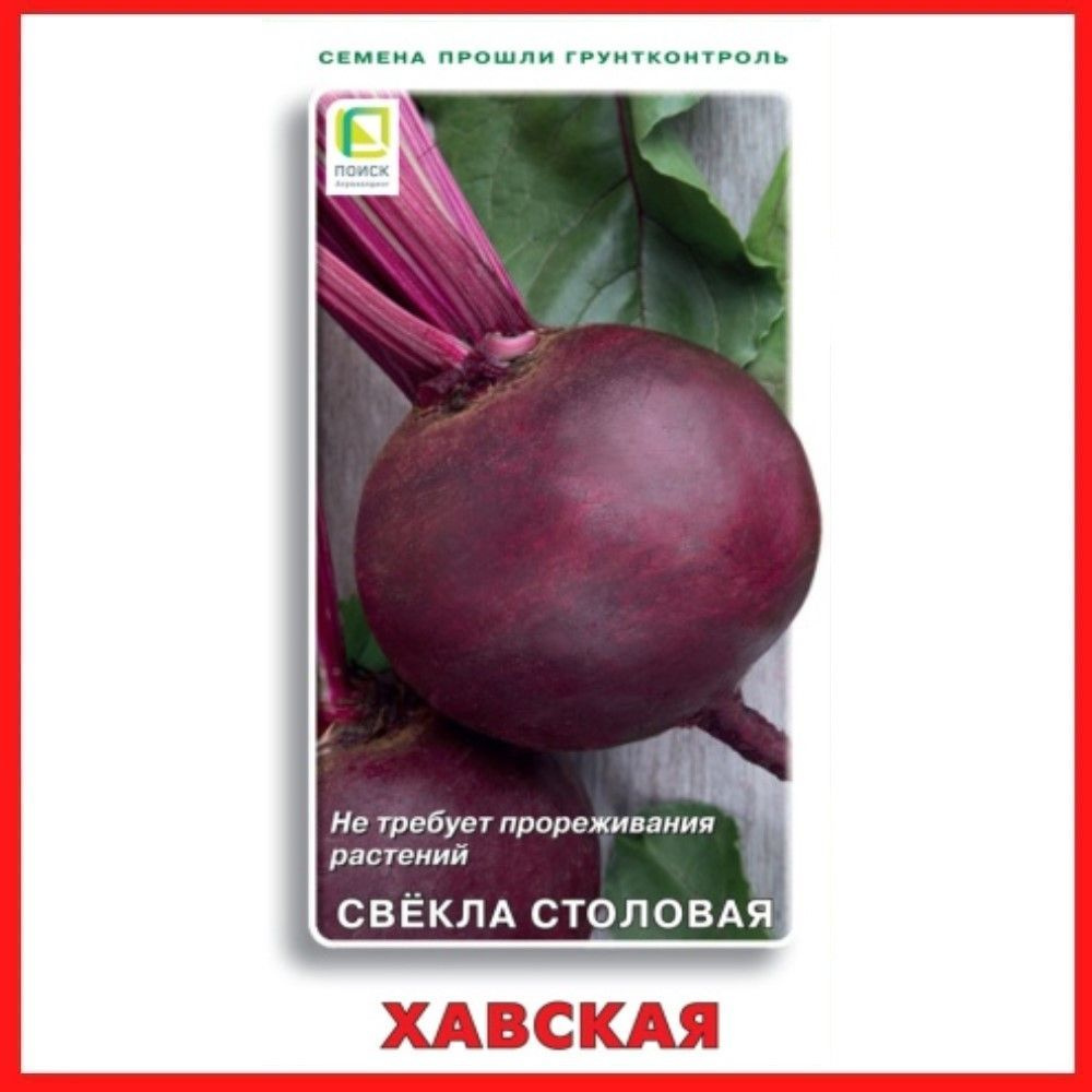 Семена Свекла столовая "Хавская", 3 гр, для дома, дачи и огорода, в открытый грунт, овощи из семян.  #1