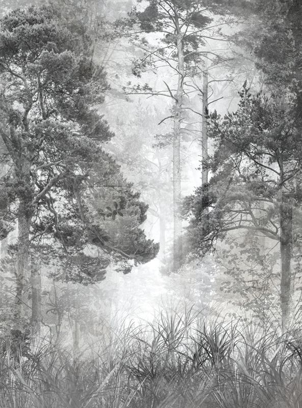 Фотообои GrandPik 10257 "Лес в тумане" см(ШхВ), 200х270 см #1