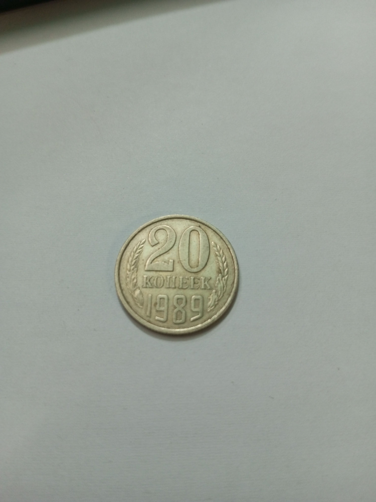 20 копеек 1989 года ссср - купить в интернет-магазине OZON с быстрой ...