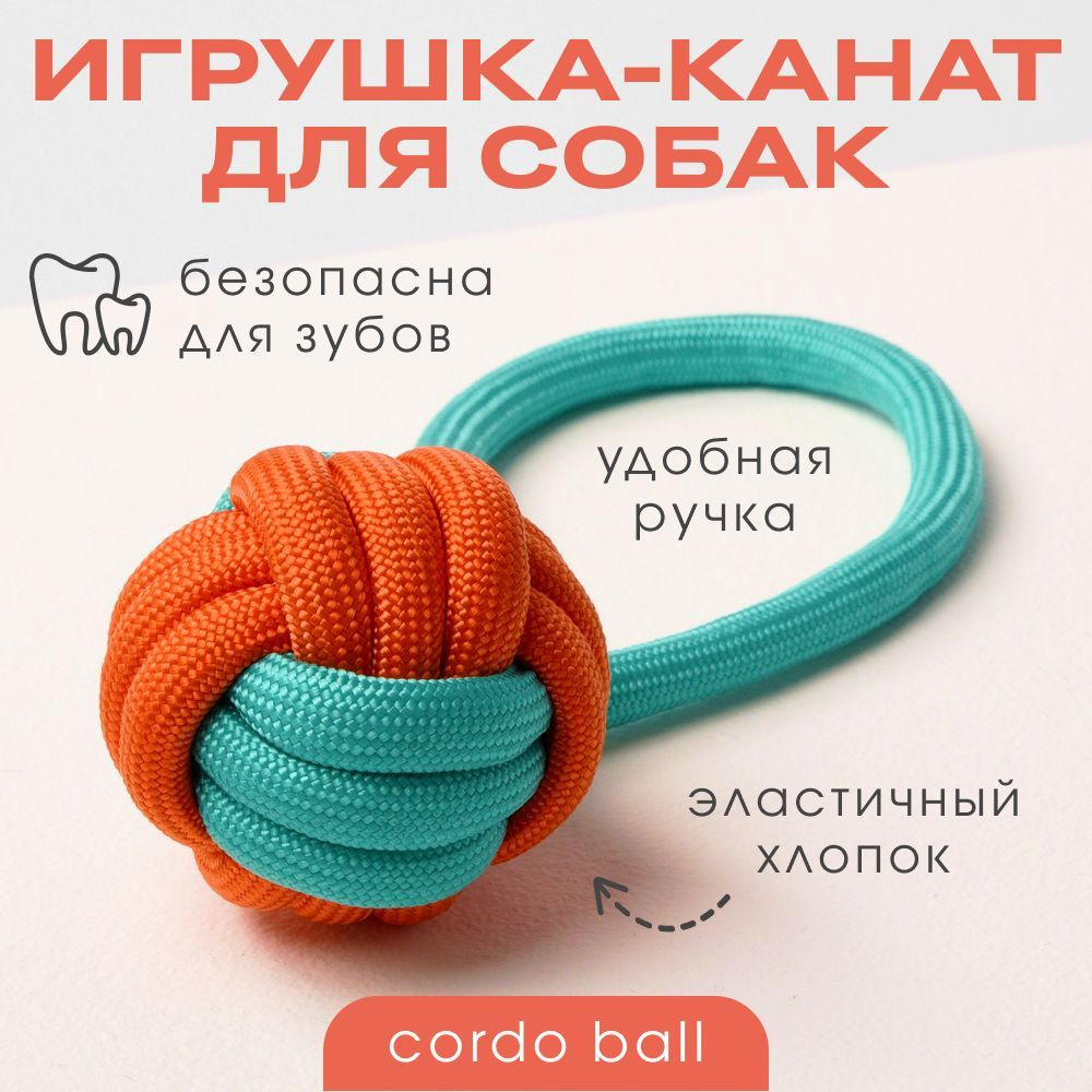 Игрушка для собак канатная BARQ - Cordo Ball (Бирюзовый Апельсин) - купить  с доставкой по выгодным ценам в интернет-магазине OZON (712630101)