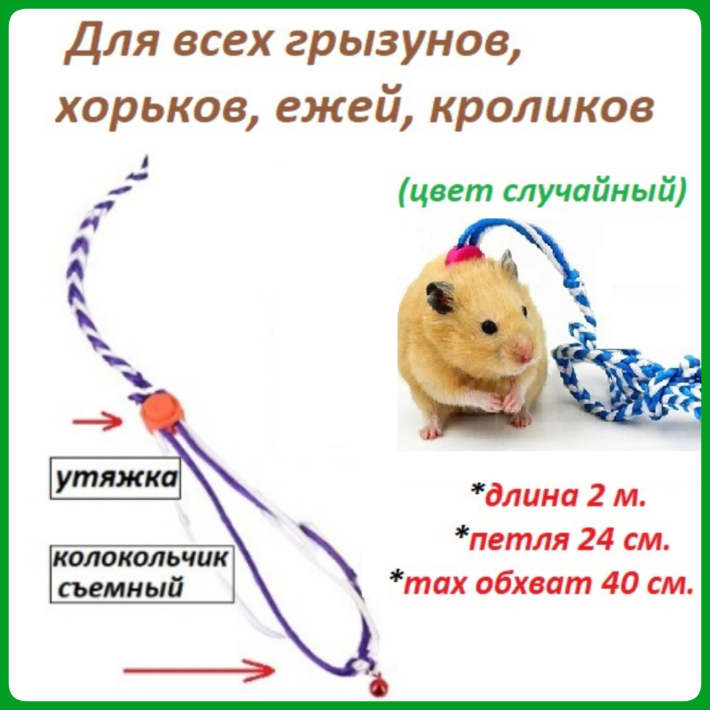 Товары для Хомяка Поводок