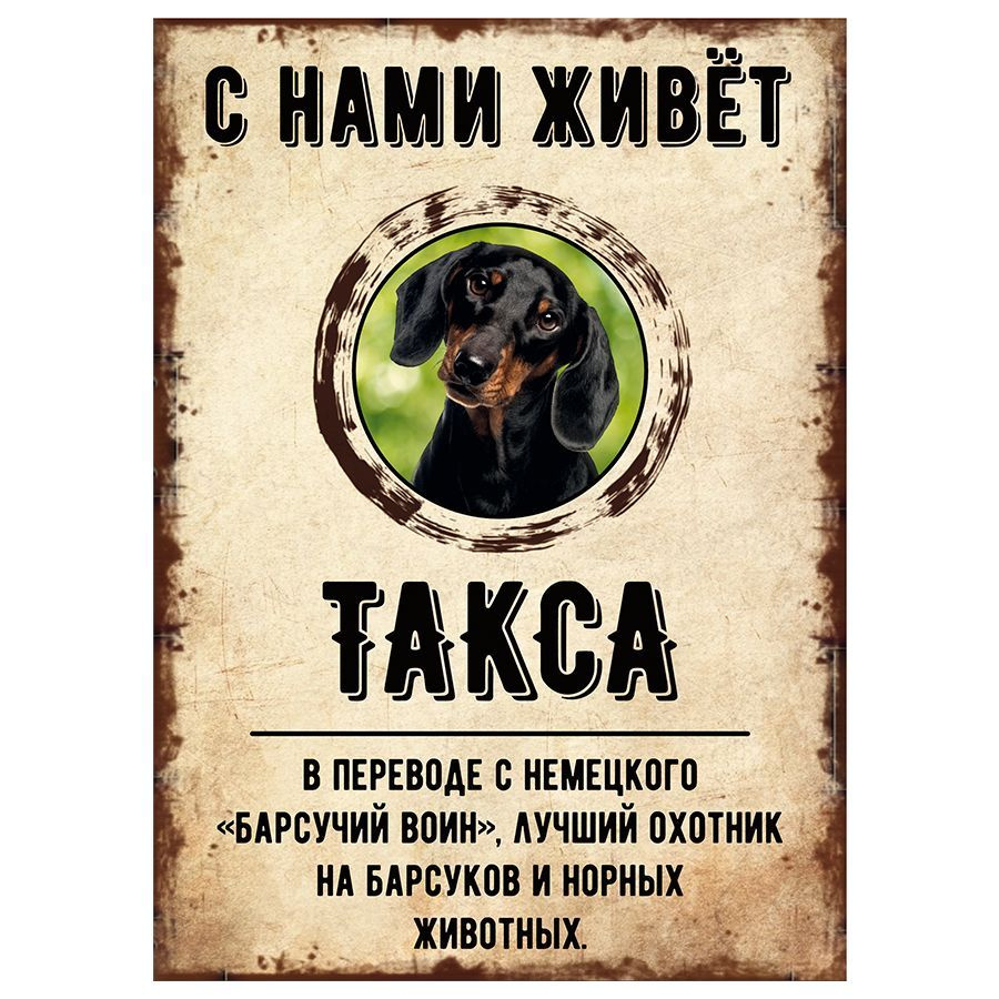 Табличка, декоративная, DANGER DOG, С нами живет Такса, 18см х 25см  #1