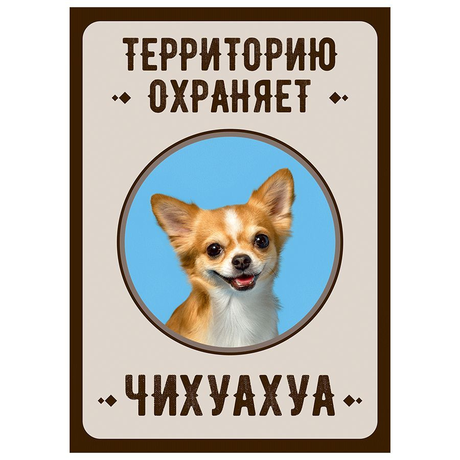 Табличка, Злая собака, Территорию охраняет Чихуахуа, на металлической  основе, 18см х 25 см, на забор, на дверь, 25 см, 18 см - купить в  интернет-магазине OZON по выгодной цене (826798633)