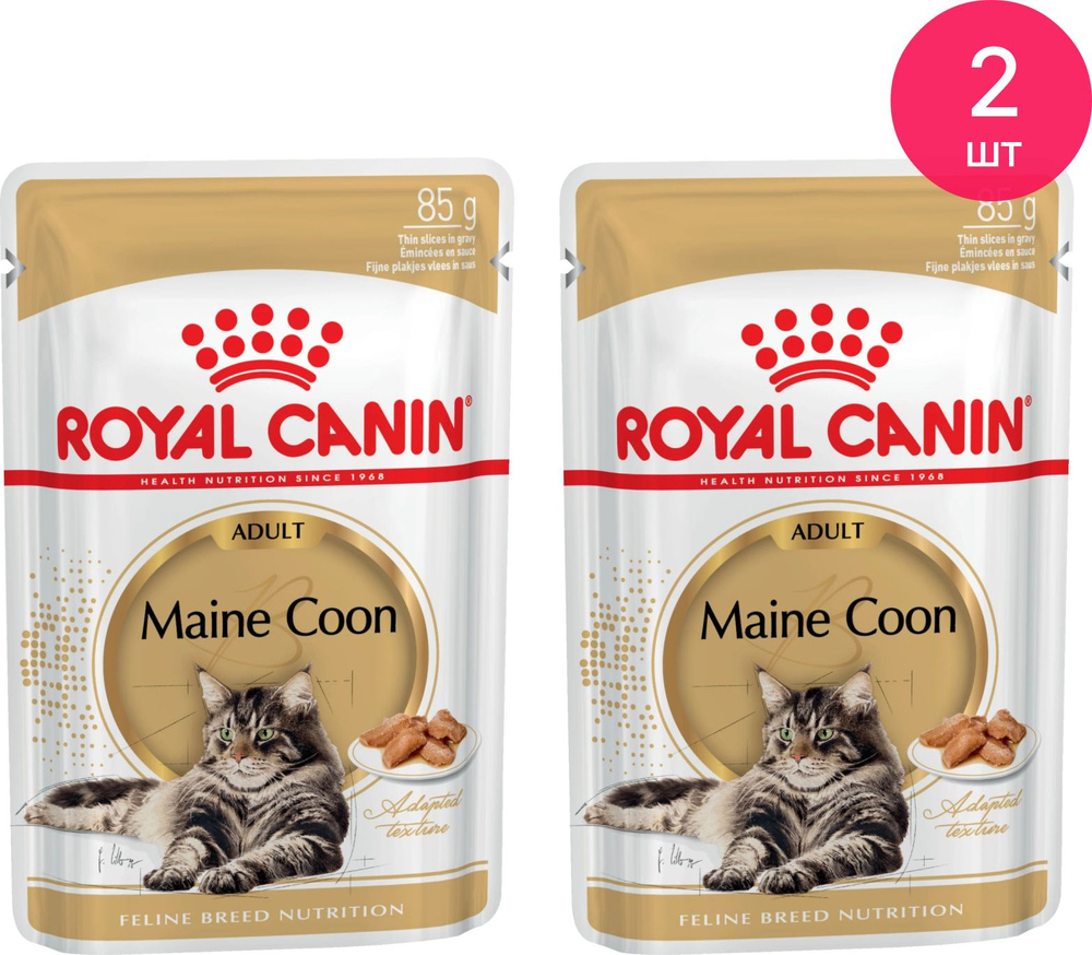 Royal canin maine coon