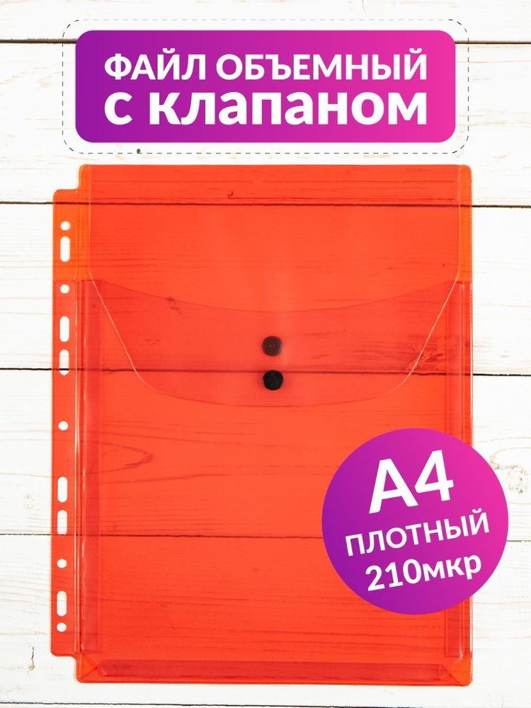 Дивея Файл A4 (21 × 29.7 см) 1 шт. #1