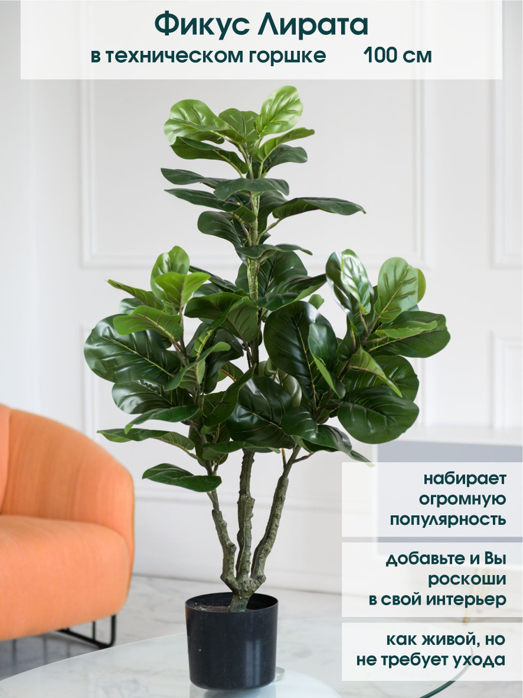 Купить Искусственные цветы для декора интерьера высокие, Фикус Лирата ...