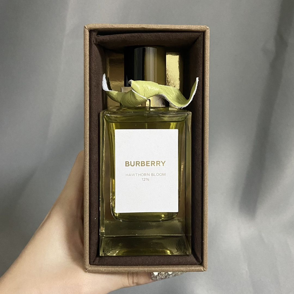 Burberry ABCXS122-90-cp Вода парфюмерная 100 мл (1622674358)