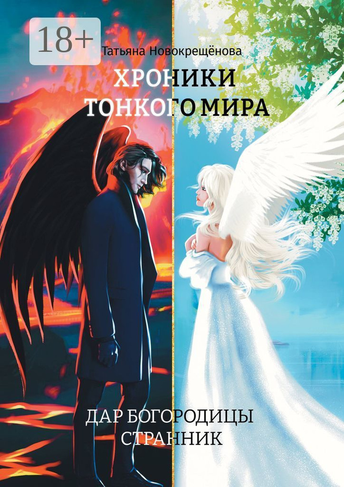 Хроники тонкого мира. Дар Богородицы. Странник #1