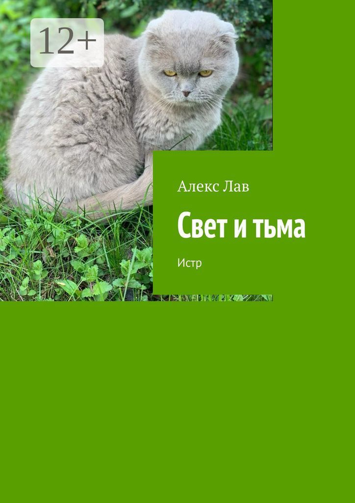 Свет и тьма. Истр | Алекс Лав #1