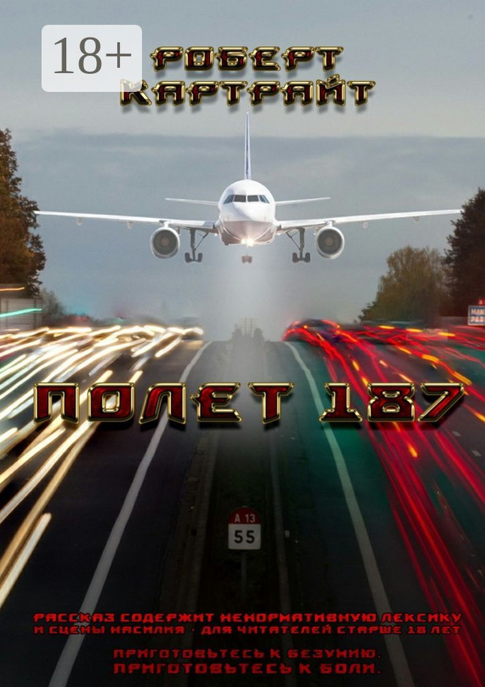 Полёт 187. Из цикла рассказов Приготовьтесь к безумию. Приготовьтесь к боли #1