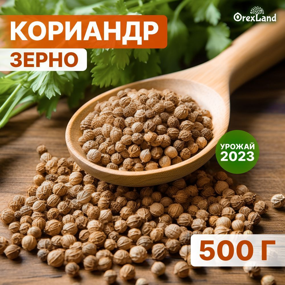 Кориандр зерно, семена кориандра 500г (целый, в зернах, кинза семена), orexland  #1