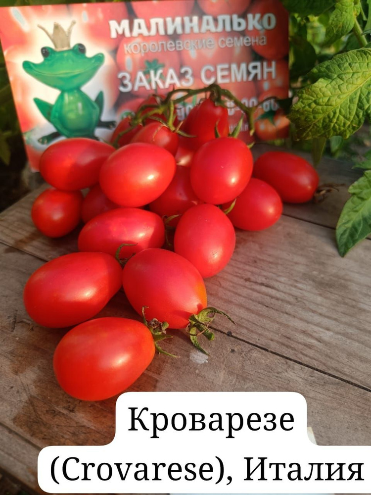 Семена #1