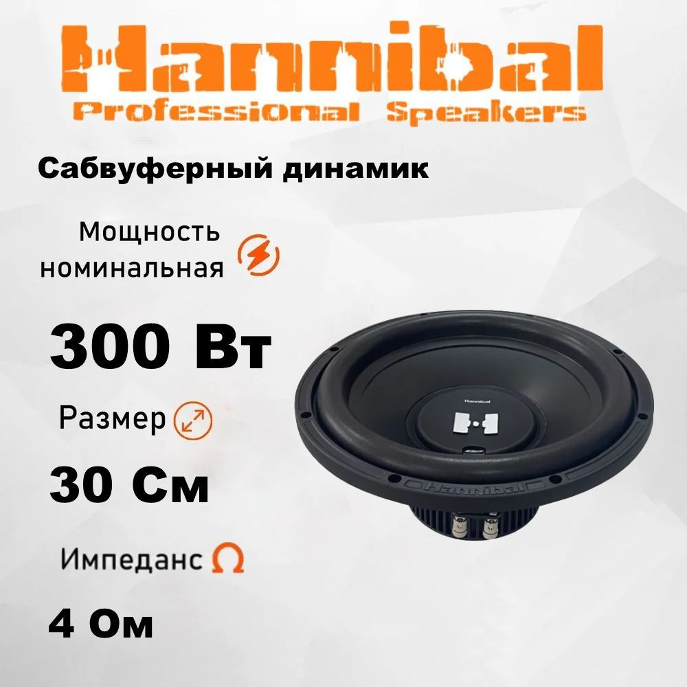 Сабвуферный динамик Alphard Hannibal HS-600 12 Дюймов / Сабвуфер  автомобильный - купить по выгодной цене в интернет-магазине OZON  (1191034220)