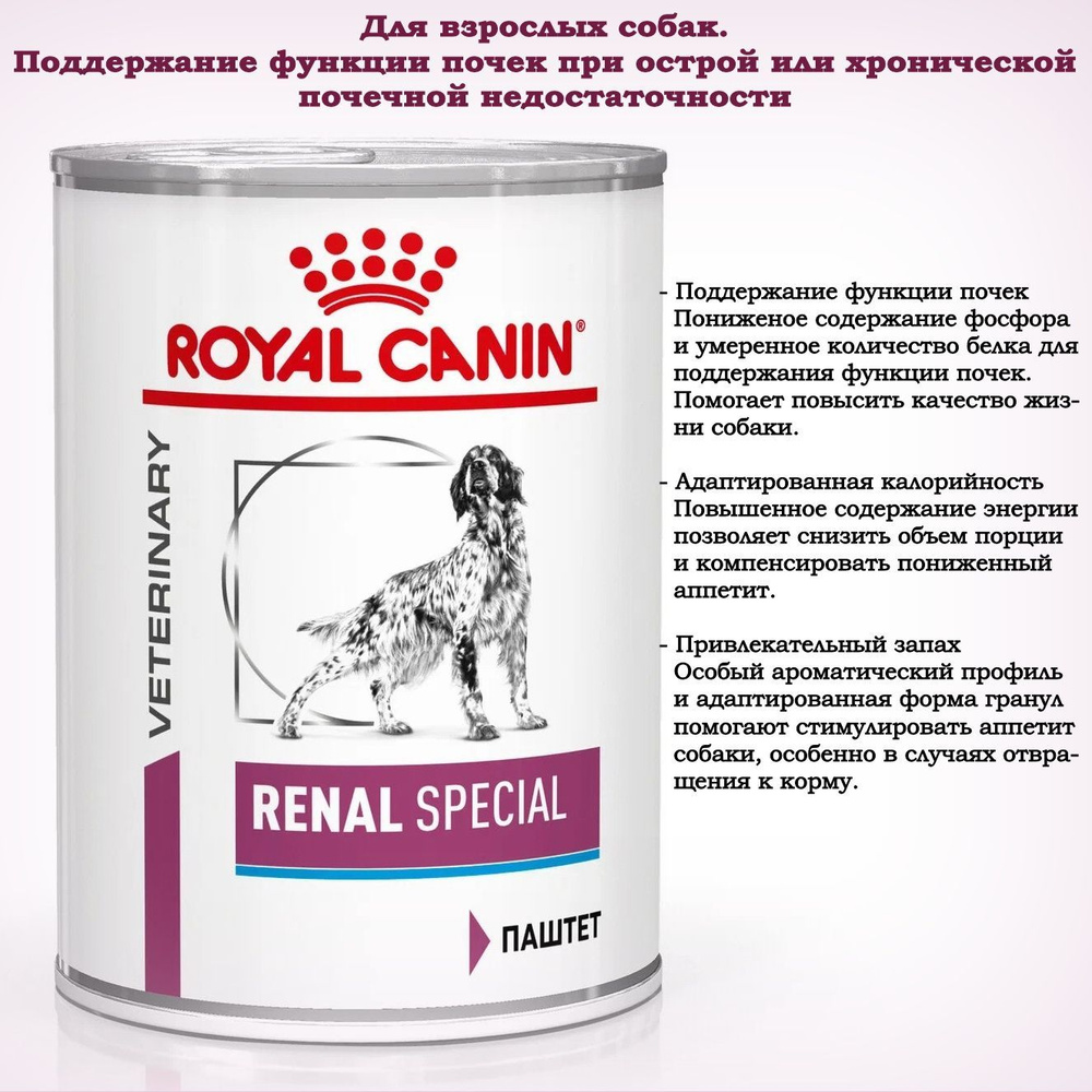 Royal canin deals renal special