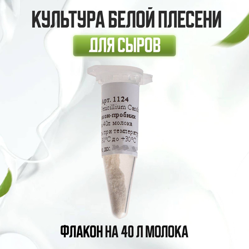 Культура белой плесени для сыра Penicillium Candidum на 40 л. молока  #1