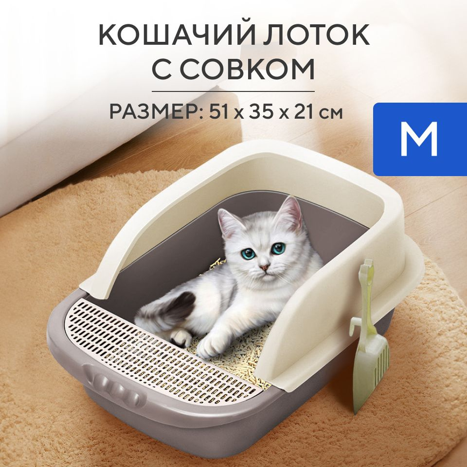  Mailru        