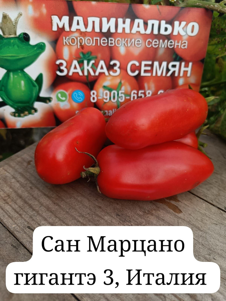Семена #1