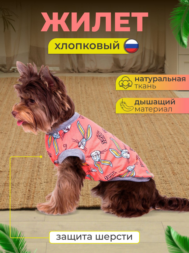 Майка для собак и кошек мелких пород - купить с доставкой по выгодным ...