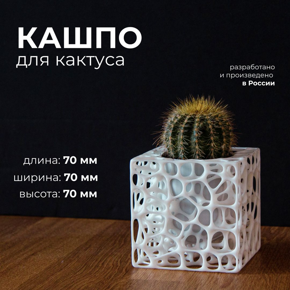 Кашпо для суккулентов, горшок для кактуса - купить с доставкой по ...
