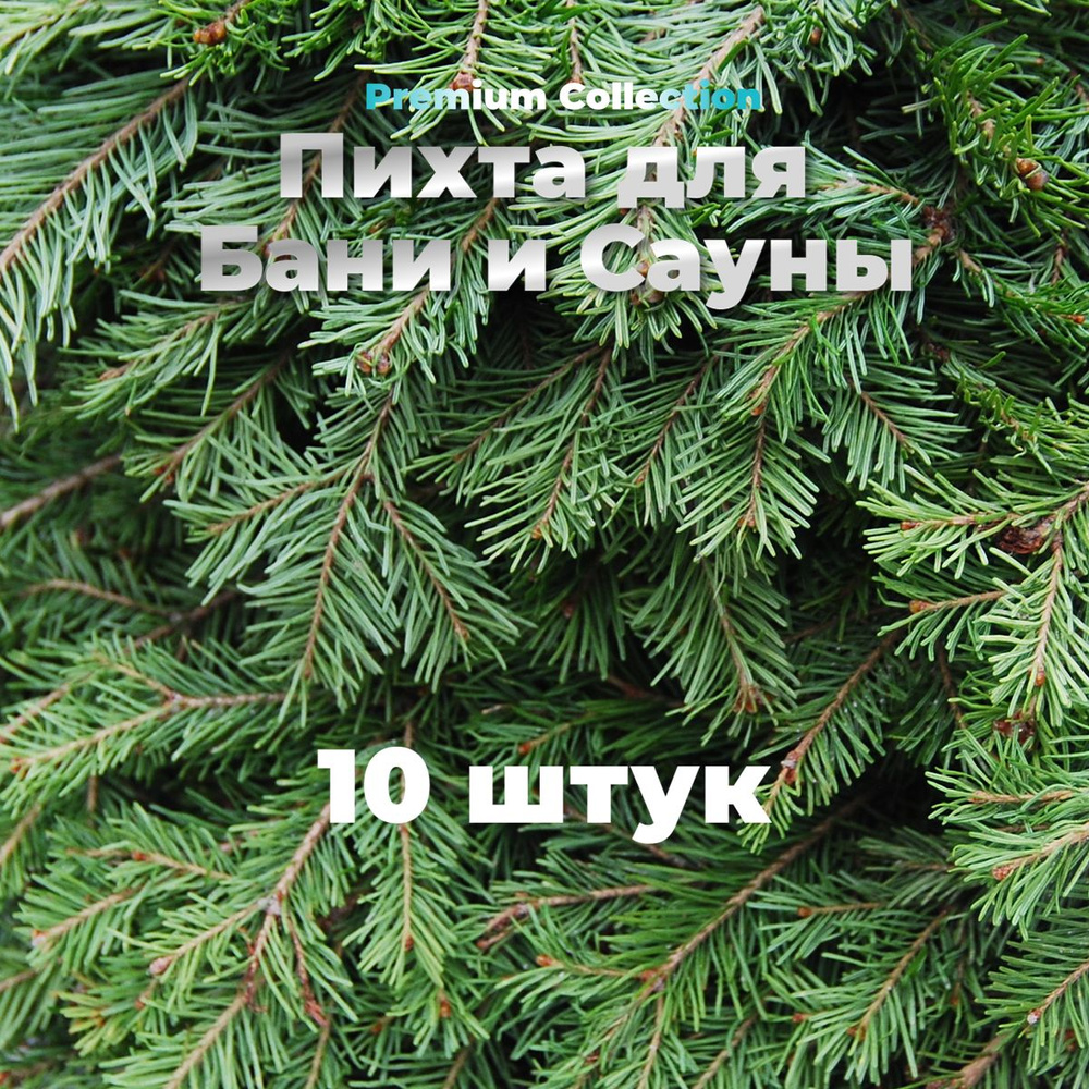 Пихта для Бани и Сауны "Premium Collection", 2, 4, 10 штук. - Веник для ...