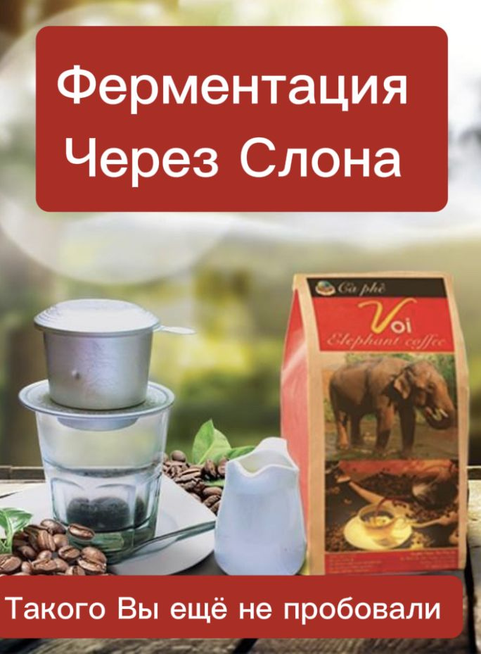 Элитный кофе Лювак Чёрный бивень(Voi) Phu An тёмная обжарка с кокосом ...