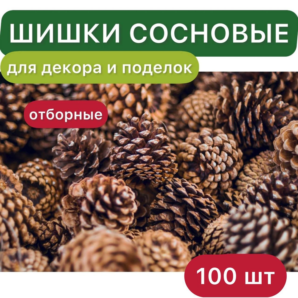 Шишки сосновые для декора и поделок, 100 шт, Россия, Эко.