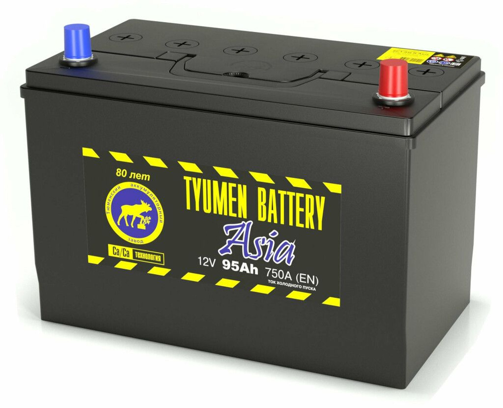Tyumen Battery Аккумулятор автомобильный, 95 А•ч купить на OZON по ...