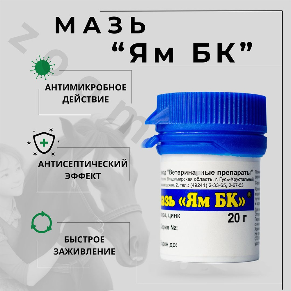 ЯМ БК, мазь, 20 г - купить с доставкой по выгодным ценам в  интернет-магазине OZON (678068699)