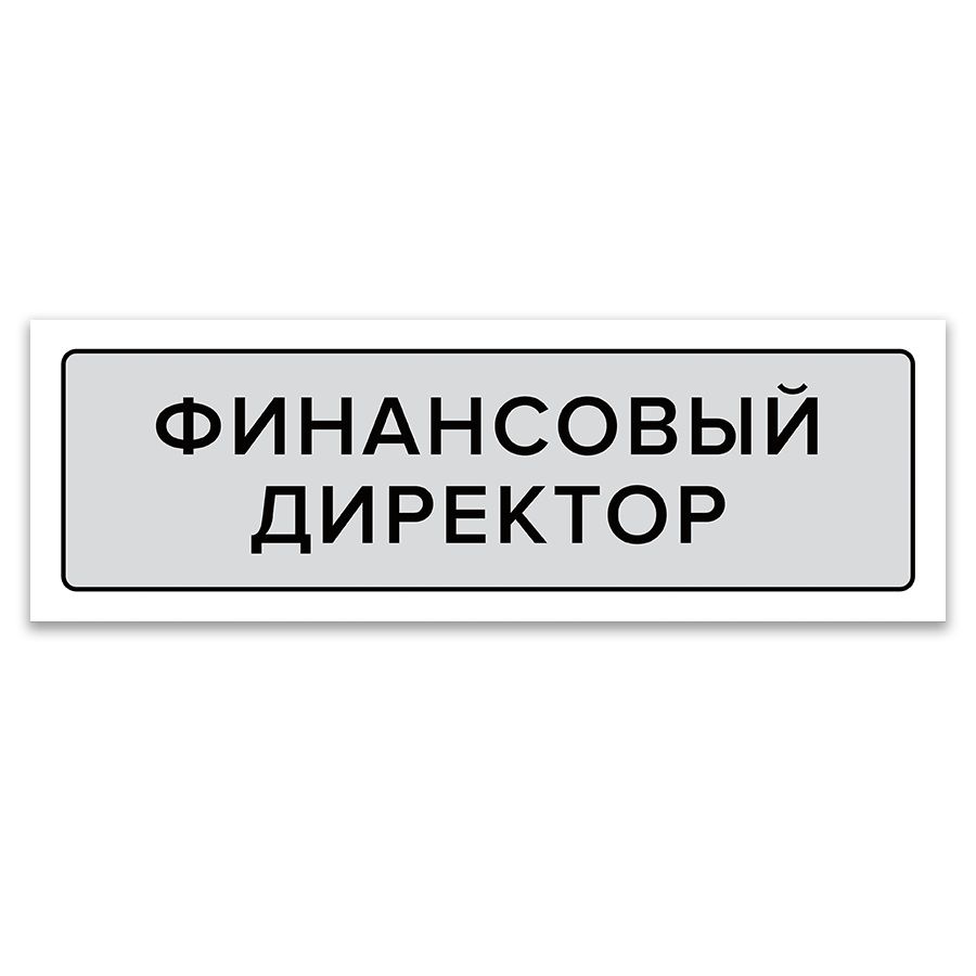 Табличка, ИНФОМАГ, Финансовый директор, 30x10 см, на дверь #1
