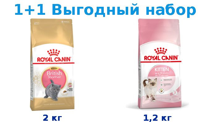 Сухой корм Котята, Royal Canin Breed cat Kitten British Shorthair 2 кг + Котята, Royal Canin Kitten 1,2 #1