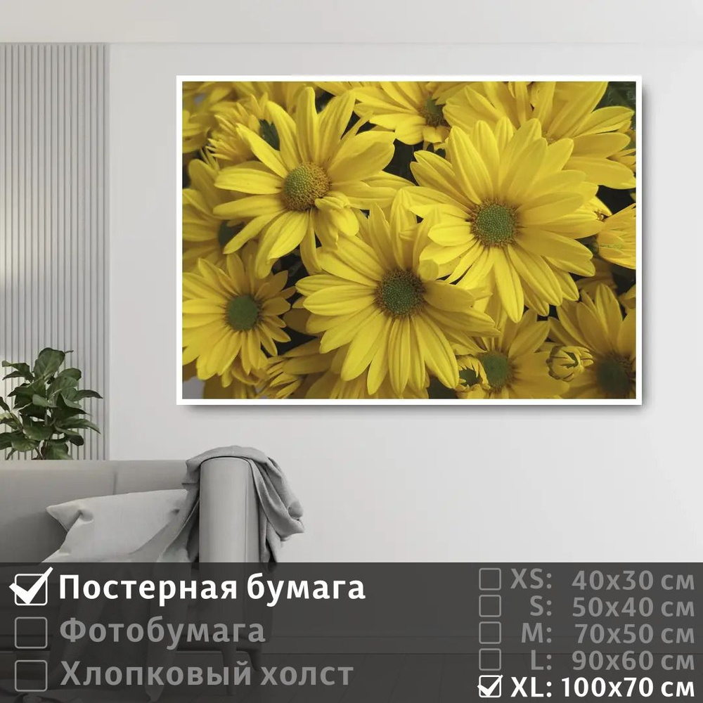 Постер на стену Желтые Цветки Хризантемы 100х70 см ПолиЦентр #1