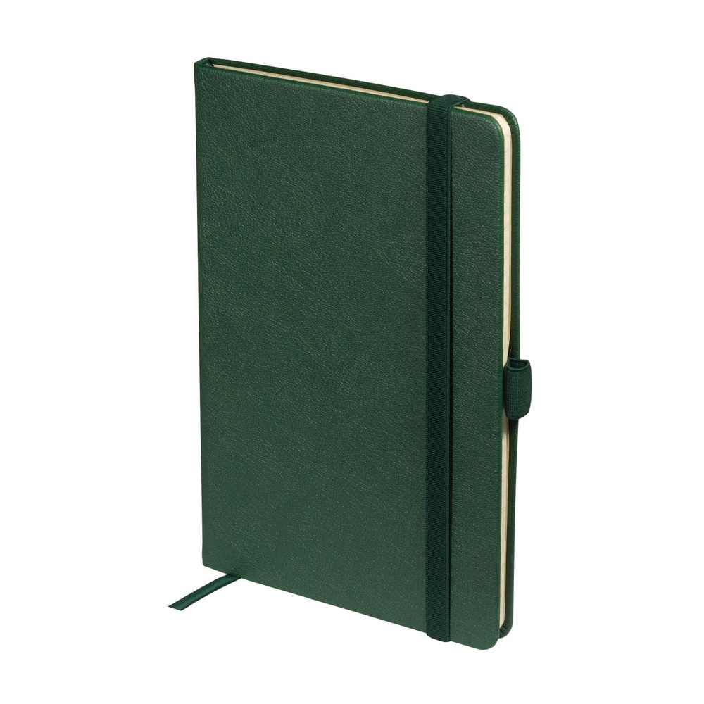 Блокнот А5 на резинке Bruno Visconti CITY зеленый в линейку / кожаный ежедневник недатированный / записная #1