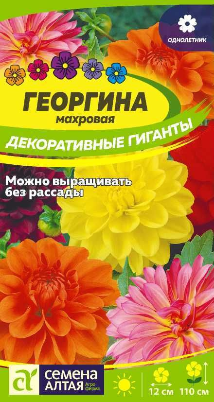 Семена Георгина Декоративные Гиганты 0,2г #1