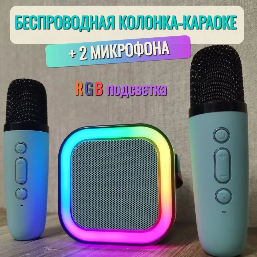 Портативная КАРАОКЕ система, колонка с двумя микрофонами - купить с  доставкой по выгодным ценам в интернет-магазине OZON (1529426402)