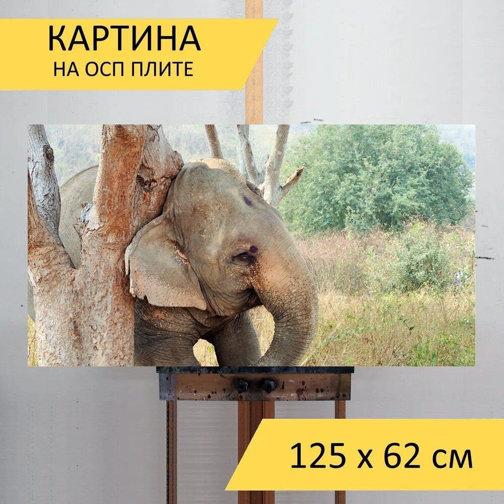 LotsPrints Картина "Слон, святой, дерево 11", 125  х 62 см #1