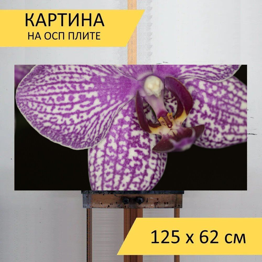 Картина науки 