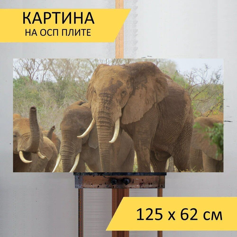 LotsPrints Картина "Слоны, кения, африка 74", 125  х 62 см #1