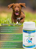 Витамины для щенков и молодых собак Canina V25, для развития и роста с ...