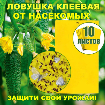 Средства от пауков — купить на OZON с быстрой доставкой
