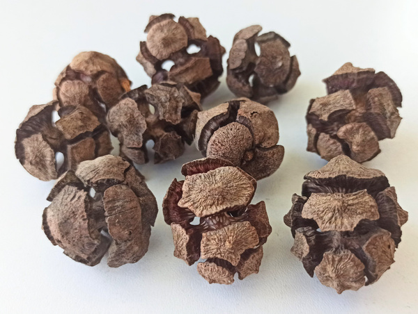 Порно секс үй жасы Порно фильмге орыс қыздарын кастинг