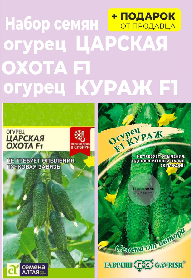 Семена огурец царская охота f1 6 шт семена алтая. Семена огурцов царская охота. Огурец царская охота f1. Семена огурцов царская охота. Огурец царская охота f1.