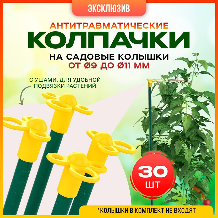 Цветы, растения, горшки – купить цветы растения горшки в интернет ...