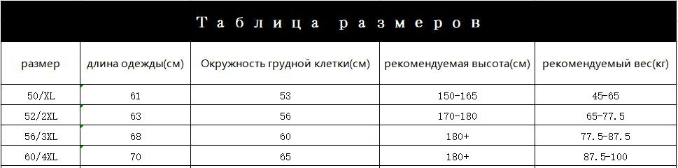 Текстовое описание изображения