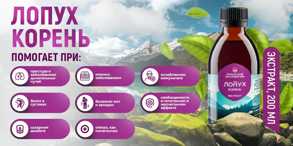 Экстракт настойка корня Лопуха жидкий, 200 мл - Алтайский заготовитель ...
