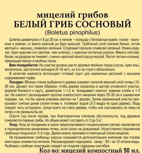 Мицелий грибов "БЕЛЫЙ ГРИБ СОСНОВЫЙ" семена, белый, фото 2