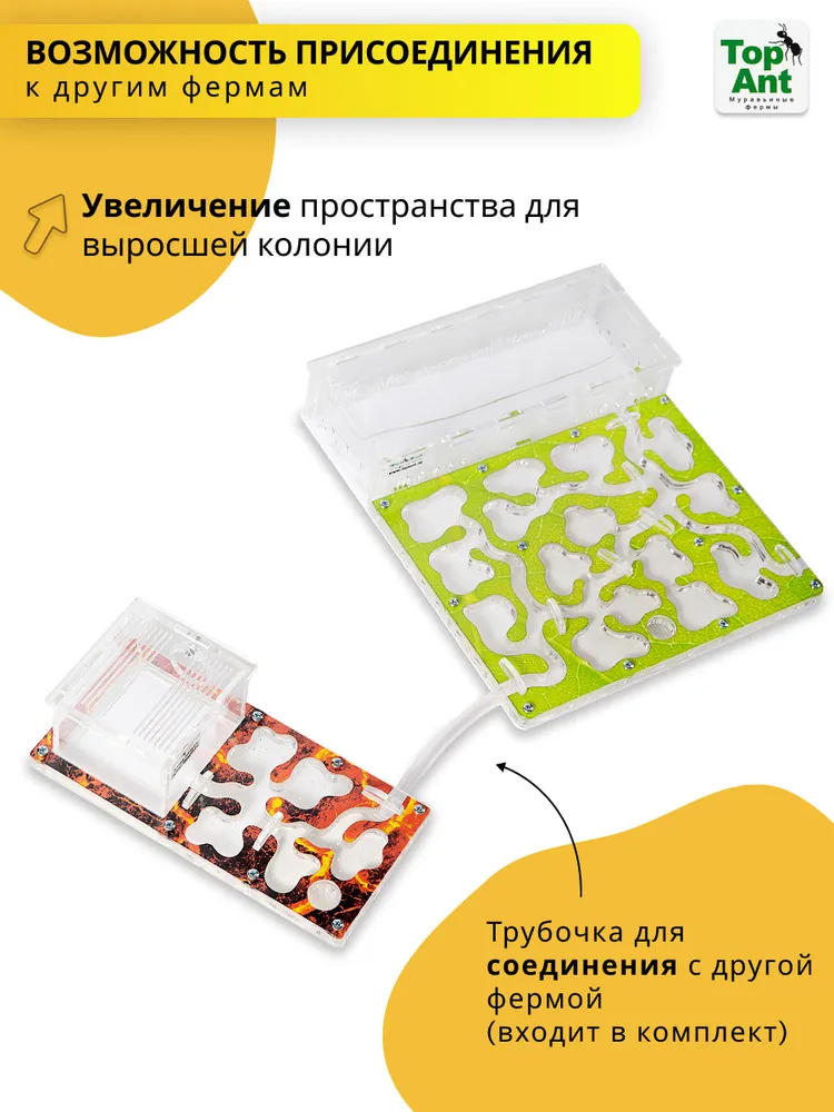 TopAnt Средняя муравьиная ферма МАКСИМАЛЬНЫЙ комплект ПОДАРКИ формикарий для муравьев, вариант, фото 5