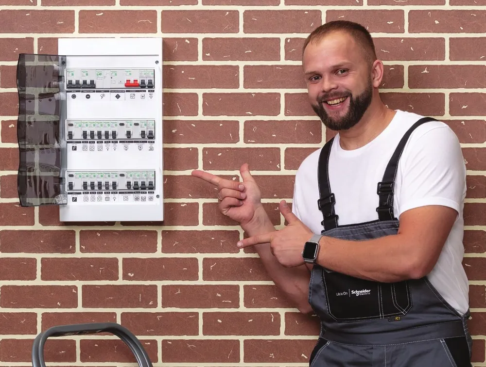 EZ9E212P2FRU Щит встраиваемый с белой дверью Easy9 Box 2 ряда 24 модуля ...