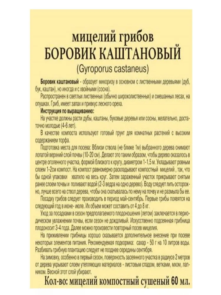 Мицелий грибов "БОРОВИК КАШТАНОВЫЙ" семена грибов, вариант, фото 2