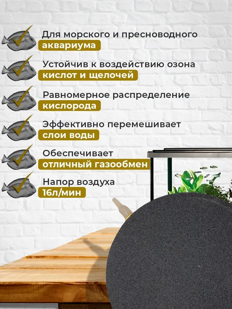 Распылитель воздуха корундовый диск 120мм (HA10120), вариант, фото 2
